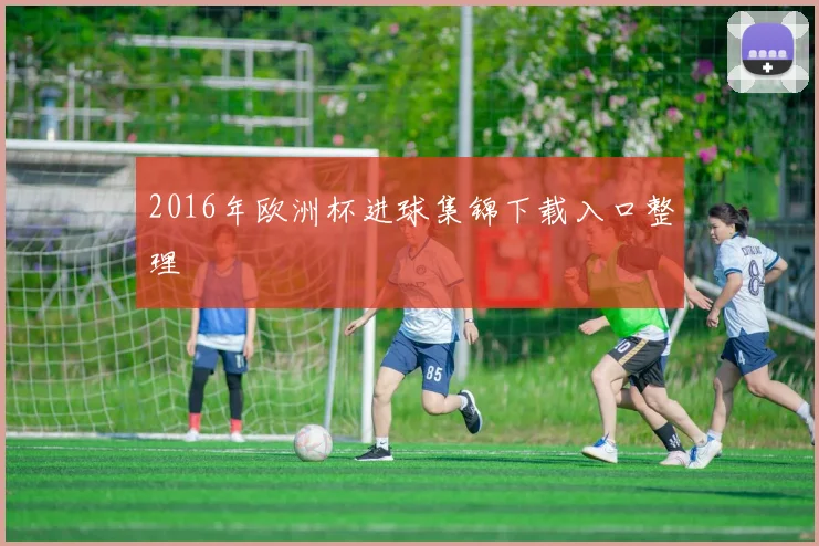 2016年欧洲杯进球集锦下载入口整理